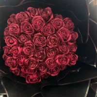 گل رز روبانی