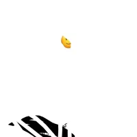 کپسولCNGبا تمام لوازم یک ماه رو ماشین بود