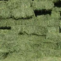 یونجه انباری