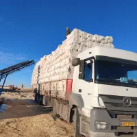 کاه.سفید.به.دونه.خاک|خدمات باغبانی و درختکاری|دهگلان, |دیوار