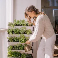 خدمات باغبانی وفضای سبز در تهران وحومه|خدمات باغبانی و درختکاری|تهران, پاسداران|دیوار