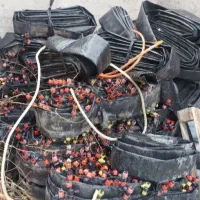 شیلنگ اندازه ۳ و۴|فعالیت داوطلبانه|نقده, |دیوار