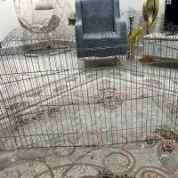 پارک حیوون خونگی صگ گربه نو