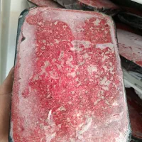 غذای منجمد سگ و گربه