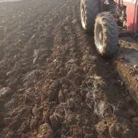 شخم و دیکس به قیمت مناسب