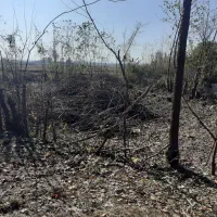 ۲۸۵متر زمین روستایی با نامه بنیاد|فروش زمین و ملک کلنگی|تهران, جنت‌آباد جنوبی|دیوار
