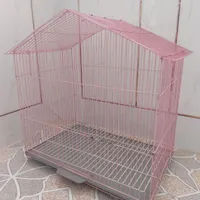 قفس عروس هلندی قناری مرغ عشق ریز بافت|پرنده|لنجان, |دیوار