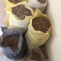 فضله کبوتر