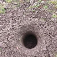 خدمات باغبانی۰حرص کردن باغ ۰تمیز کردن باغ مخروبه۰|خدمات باغبانی و درختکاری|لاهیجان, آهندان|دیوار