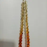 طسبی حشره دار