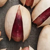 بازرگانی پسته