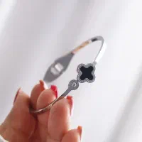 بدلیجات مانی سا|بدلیجات|گناباد, |دیوار