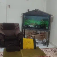 ۴۰ متری تک واحدی در میدان نامجو نزدیک مترو|اجارهٔ آپارتمان|تهران, گرگان|دیوار