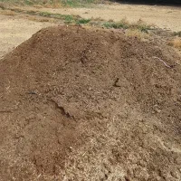 کود گوسفندی خشک