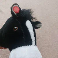 عروسک اسب سواری|اسباب‌بازی بچه|تبریز, |دیوار