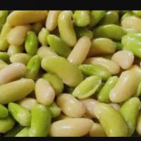 باقلاه درجه یک تجیک وبه شرط