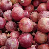 انار ساوه|خوردنی و آشامیدنی|قم, تولید دارو و یخچال|دیوار