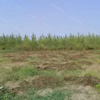 فروش باغ ویلایی