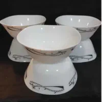 کاسه ارکوپال