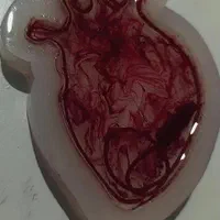 گردنبند رزین|بدلیجات|فولادشهر, فولادشهر|دیوار