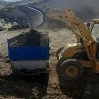 کود حیوانی|خدمات باغبانی و درختکاری|باسمنج, |دیوار