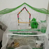 قفس و فنچ