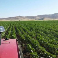 زمین کشاورزی