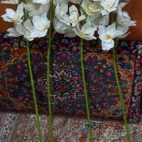 گل مصنوعی|گل مصنوعی|مشهد, فتح المبین|دیوار