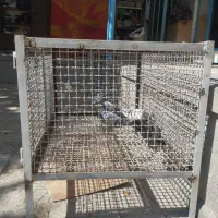 قفس.کبوتر.جفت کن محکم و عمری|پرنده|بروجن, |دیوار