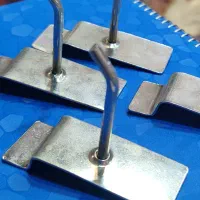 شاخک رگال