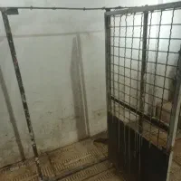 درب اغول کبوتر