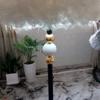 آباژور پر|چراغ خواب و آباژور|امیدیه, |دیوار