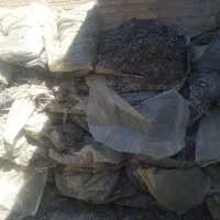 کمپوست قارچ دور ریزی سالن