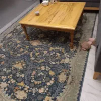 یک جفت فرش شش متری