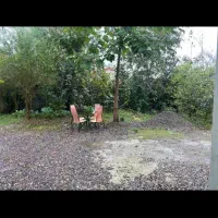 اجاره کوتاه مدت|اجارهٔ کوتاه‌مدت آپارتمان و سوئیت|رشت, گیل|دیوار