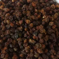 آلوچه و آلبالو|خوردنی و آشامیدنی|مشهد, کارمندان دوم|دیوار