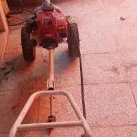 فروش چمن زن خانه سگ