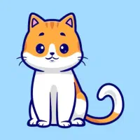 غذاسگ غذا گربه