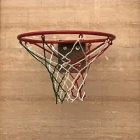 حلقه بسکتبال حرفه ایی دوفنره