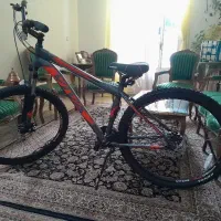 دوچرخه ویوا مدل ریس