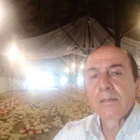 استخدام کارگر ساده مرغداری