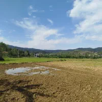 زمین شفت روستا بیجار سر