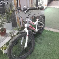 دوچرخه فروشی