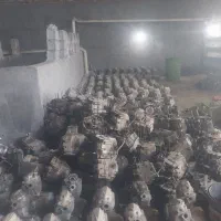 موتور پارکینگی|موتورسیکلت|اهواز, سلیم آباد(سه راه خرمشهر)|دیوار