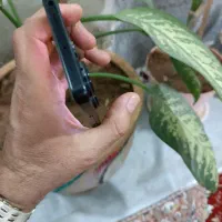 فروش گوشی|موبایل|جهرم, |دیوار