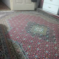 2تا 6متری فرش قرمز درحدنو|فرش|گرگان, |دیوار