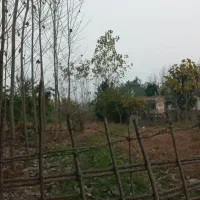 فروش زمین قیمت مناسب|فروش زمین و ملک کلنگی|تولم شهر, |دیوار