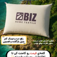 بالشت طبی میکرو فایبر دونواره بیز (قیمت نمایندگی)
