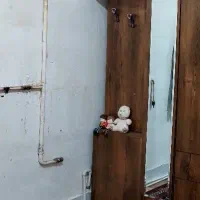 جا کفشی