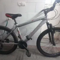 دو چرخه ویوا اصل